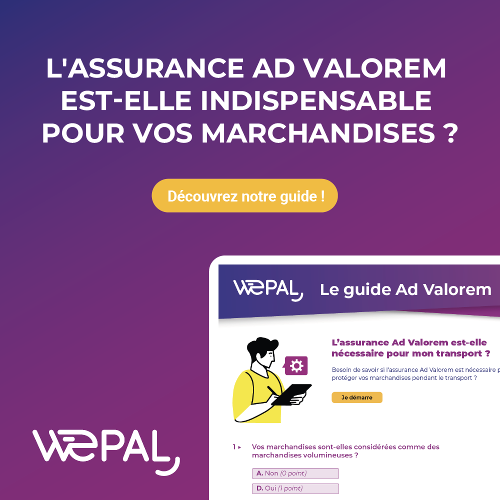 Guide : L'assurance Ad Valorem est-elle indispensable pour vos ...